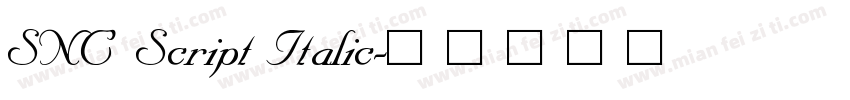 SNC Script Italic字体转换